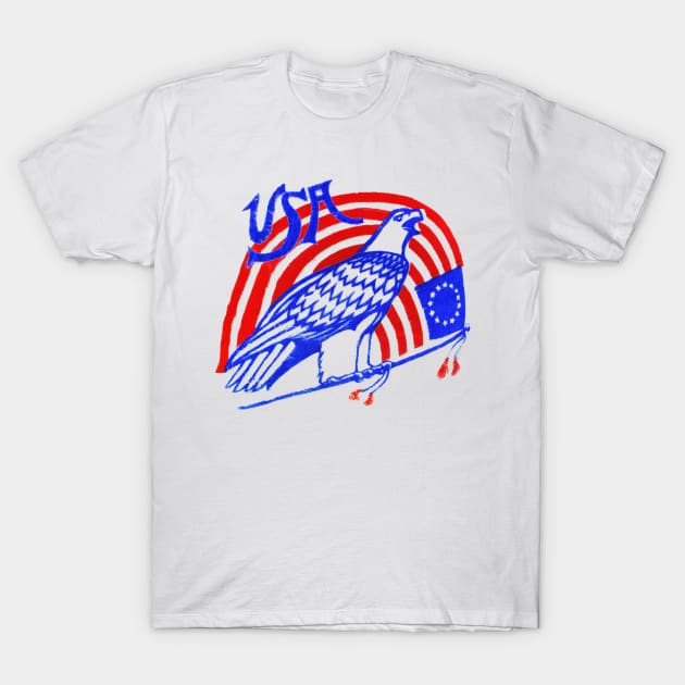 4th of July Eagle, Flag, USA, Stars & Stripes, Patriotic T-Shirt by artbitz